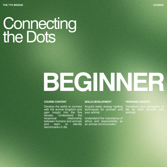 Connecting The Dots - Beginner (3 Days)