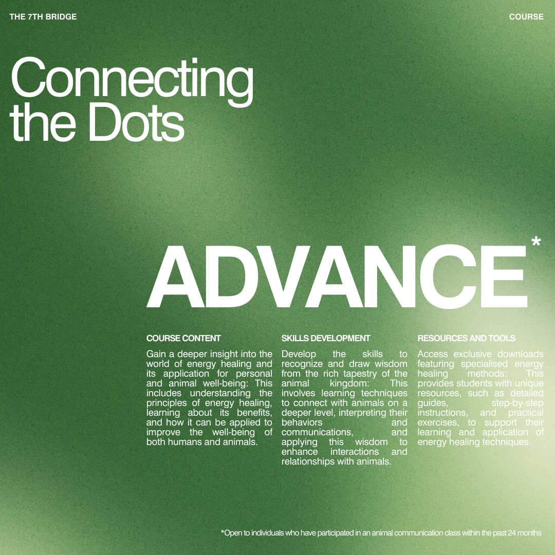 Connecting The Dots - Advance* (2 Days)