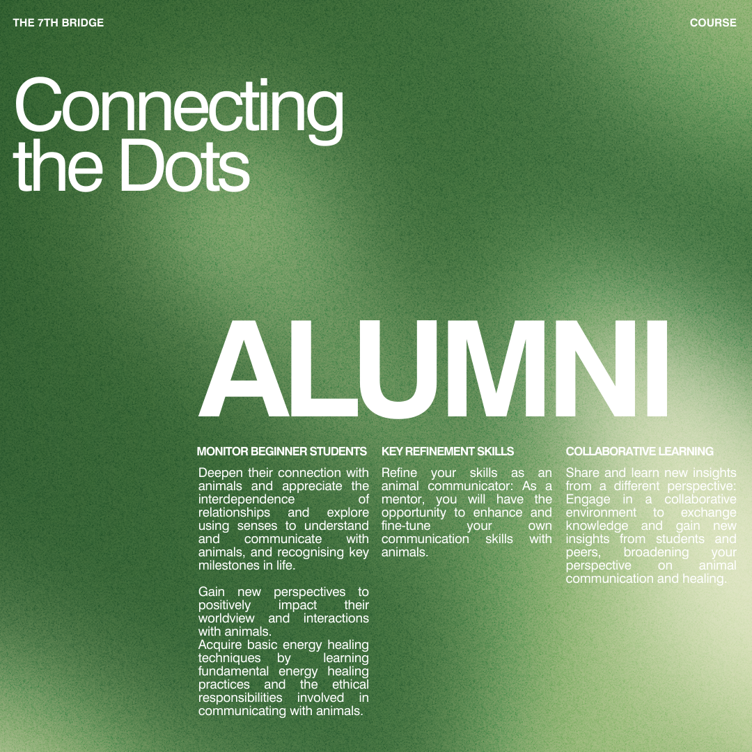 Connecting The Dots - Alumni (3 Days)