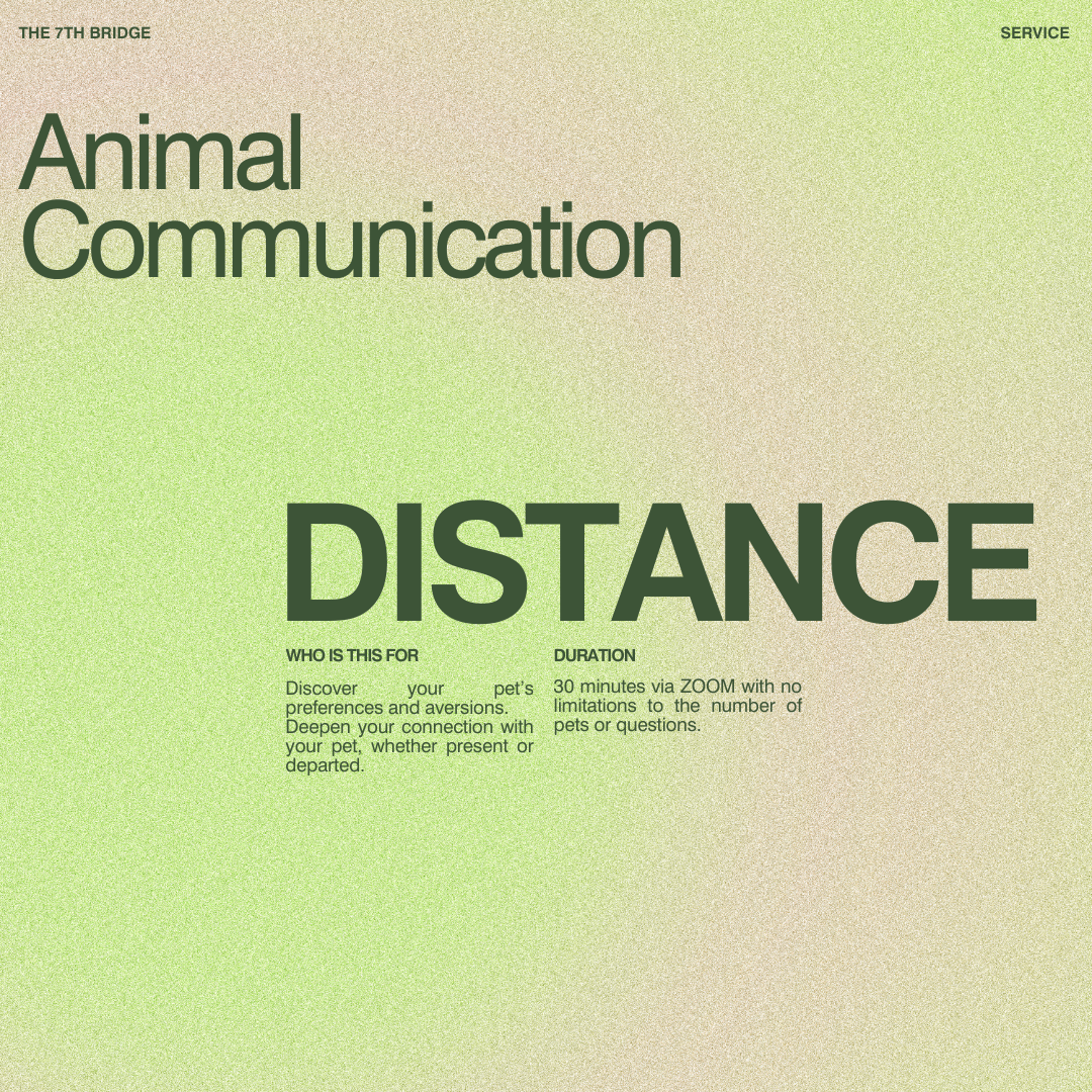 Animal Communication (Distance)