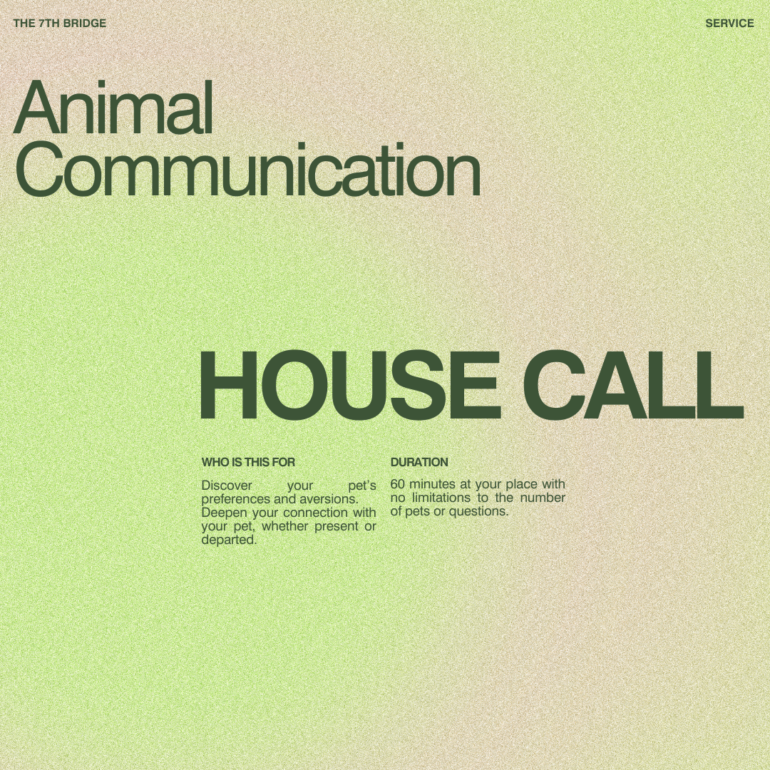 Animal Communication (House Visit)