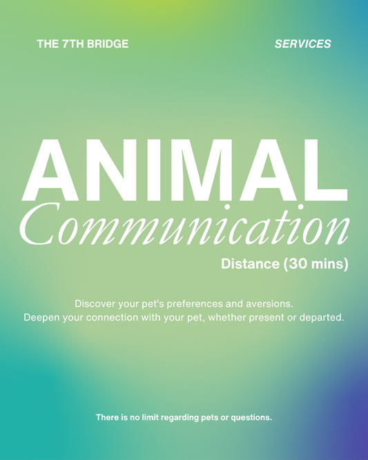 Animal Communication (Distance)